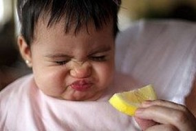limon-bebe